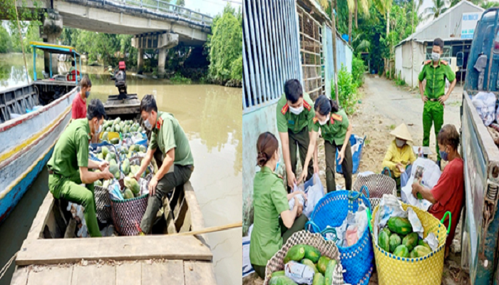 Công an huyện Châu Thành hỗ trợ thu hoạch và thu mua nông sản cho người dân