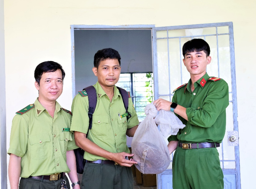 Công an huyện bàn giao cá thể Tê tê quý hiếm cho đại diện Chi cục Kiểm lâm tỉnh tại trụ sở Công an huyện Vị Thủy